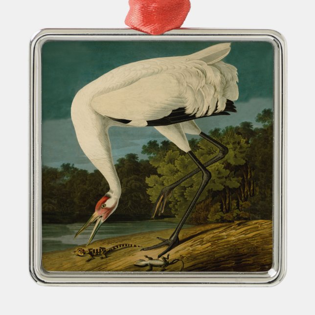 Whooping Crane Audubon Bird Painting Metal Ornament (Front)