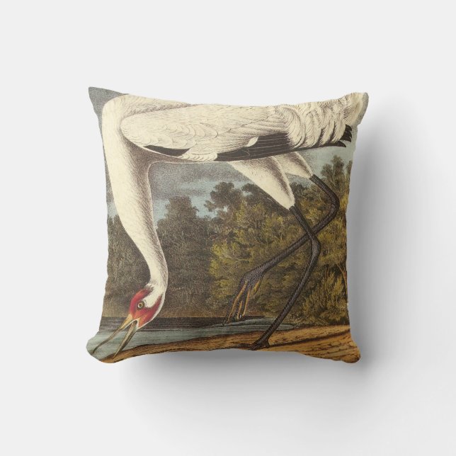 Whooping Crane by Audubon Throw Pillow (Front)