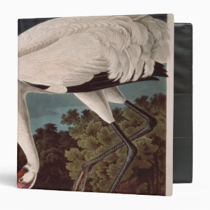 Whooping Crane, from 'Birds of America' Binder