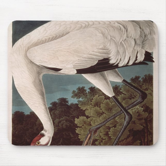 Whooping Crane, from 'Birds of America' Mouse Pad (Front)