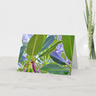 Whoops There Goes Another Rubber Tree Holiday Card