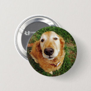 Who's a Good Boy 2 Inch Round Button