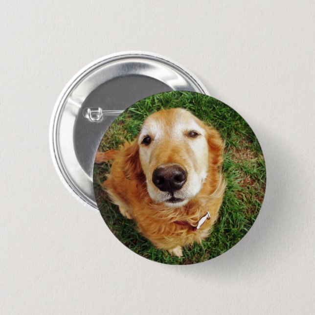 Who's a Good Boy 2 Inch Round Button (Front & Back)