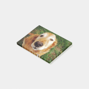 Who's a Good Boy Post-it Notes