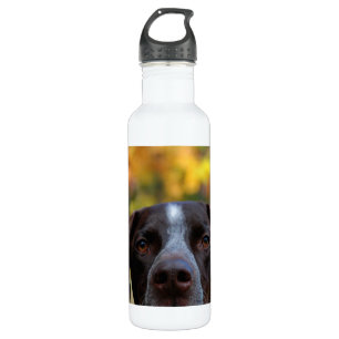 Who's Dat Dog? 710 Ml Water Bottle