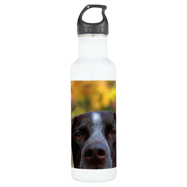 Who's Dat Dog? 710 Ml Water Bottle (Front)