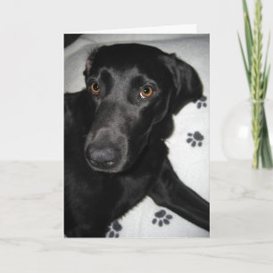 Who's Sorry Now Card