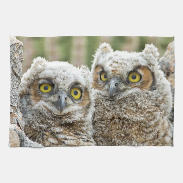 Who's there, Pair of Owl's Kitchen Towel (Horizontal)