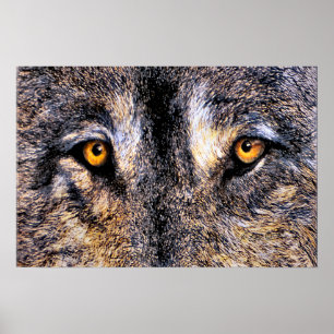 Who's Watching Poster