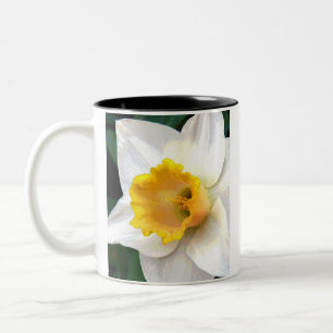 Whte Daffodil with Yellow Centre Two-Tone Coffee Mug