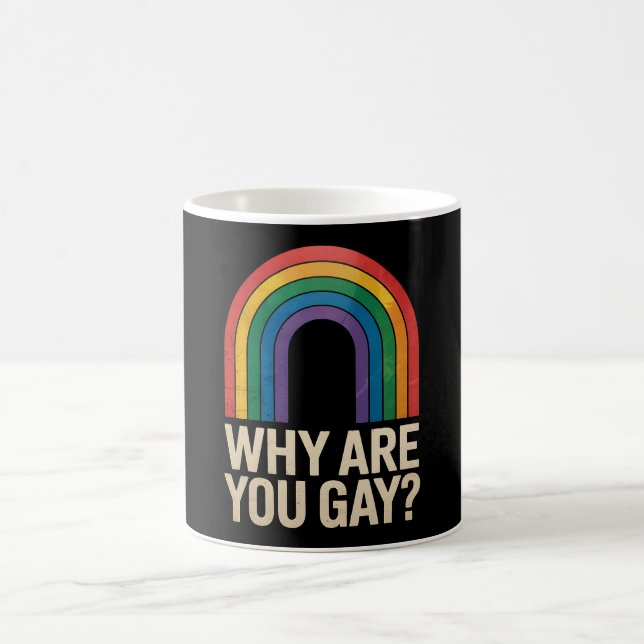 Why Are You Gay Funny Rainbow LGBTQ Pride Ally Coffee Mug (Center)