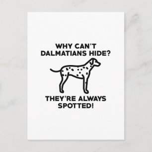 Why Can't Dalmatians Hide Postcard