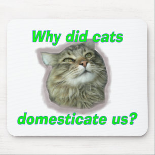 Why did cats domesticate us? mouse pad