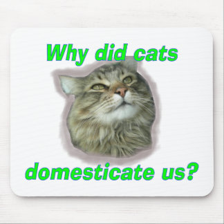 Why did cats domesticate us? mouse pad