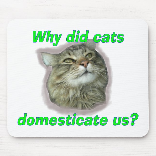 Why did cats domesticate us? mouse pad (Front)