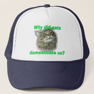 Why did cats domesticate us? trucker hat