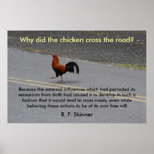 Why Did The Chicken Cross? - poster