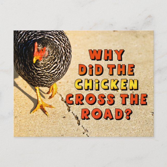 Why did the Chicken Cross the Road? Postcard (Front)