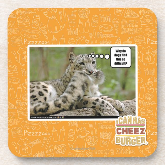 Why do dogs find this so difficult? coaster (Front)