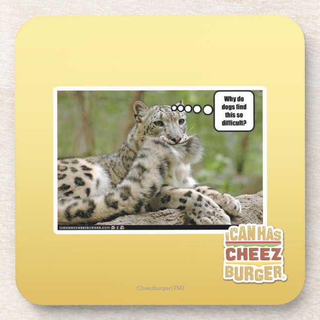 Why do dogs find this so difficult? coaster (Front)