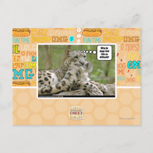 Why do dogs find this so difficult? postcard