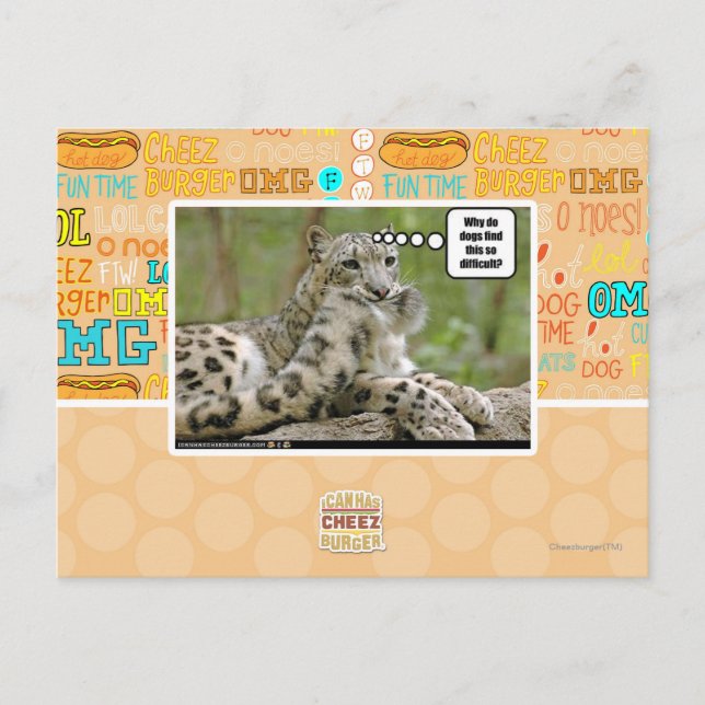 Why do dogs find this so difficult? postcard (Front)