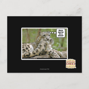 Why do dogs find this so difficult? postcard