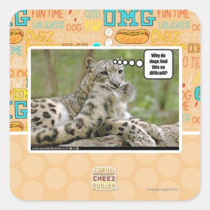 Why do dogs find this so difficult? square sticker