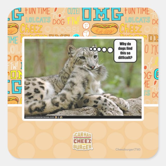 Why do dogs find this so difficult? square sticker (Front)