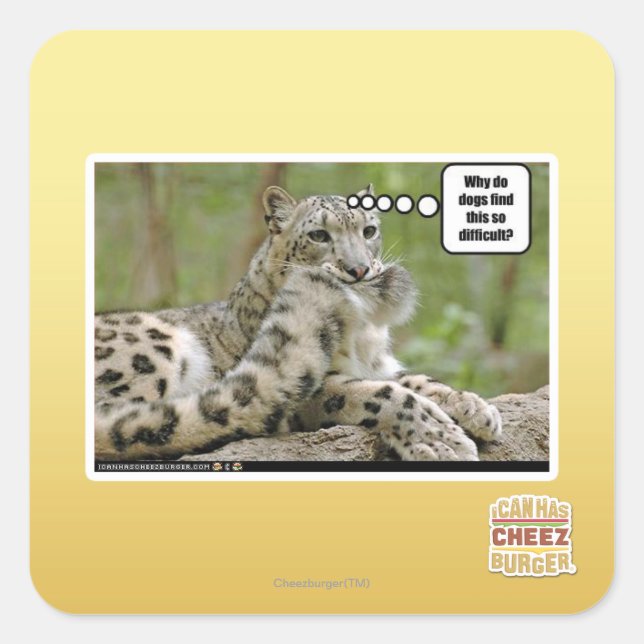 Why do dogs find this so difficult? square sticker (Front)