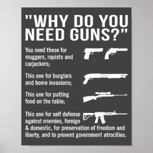 Why Do You Need Guns  Poster
