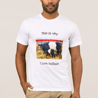 Why I love Belties Cute  Belted Galloway Cow Calf T-Shirt
