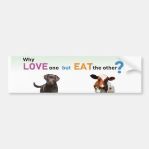 Why Love one but eat the other -Dog and Calf Bumper Sticker