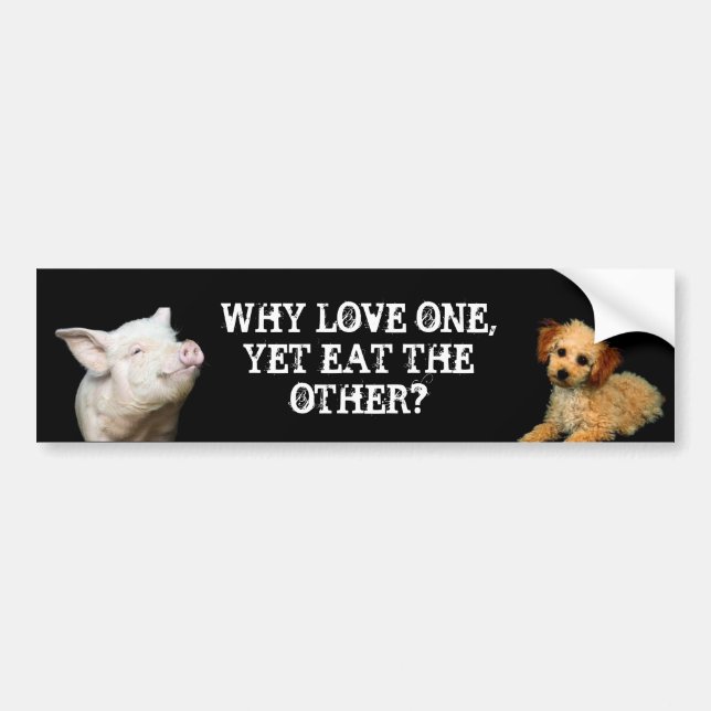 Why love one - Yet eat the other? Pig/Poodle Bumper Sticker (Front)