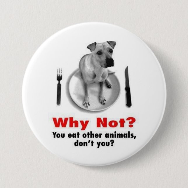 Why Not? 3 Inch Round Button (Front)