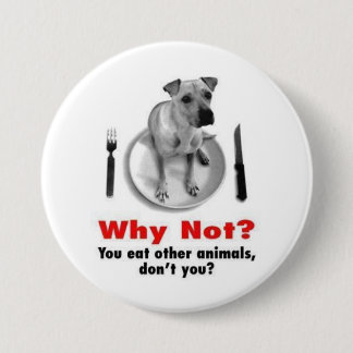 Why Not? 3 Inch Round Button