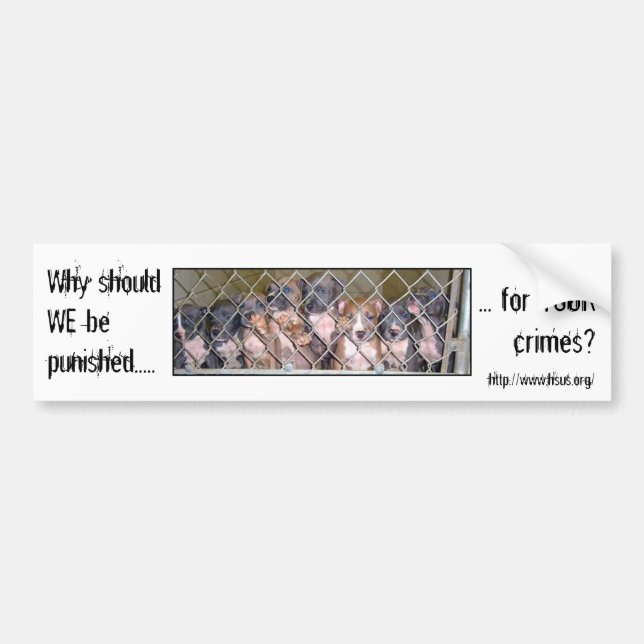 Why punish the Dogs? Bumper Sticker (Front)