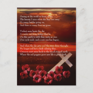 Why Sunsets Are Red Postcard