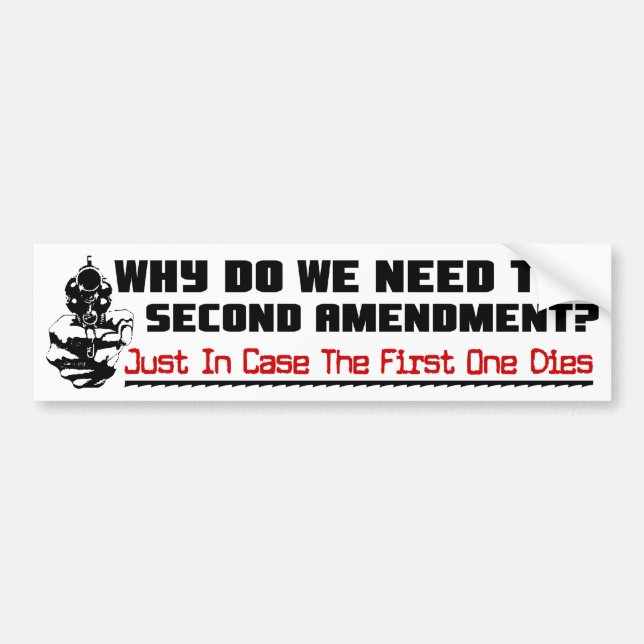 Why The 2nd Amendment? Bumper Sticker (Front)