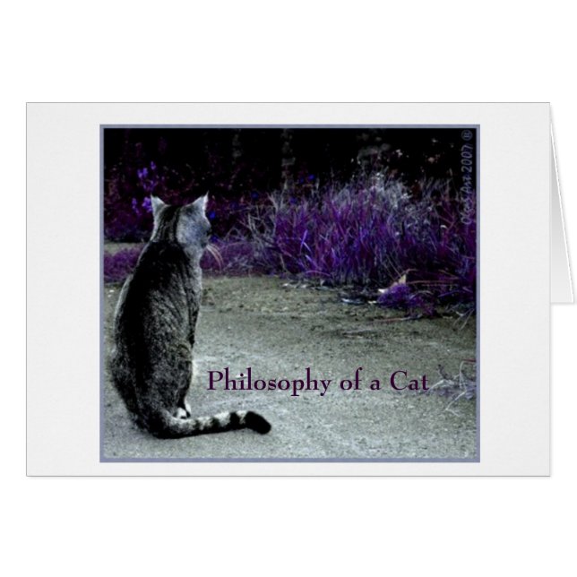Why the grass is violet? meow (Front Horizontal)
