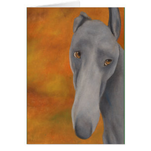 Why the Long Face? (a393)