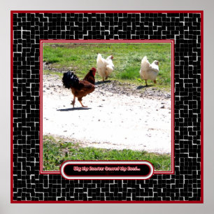 Why The Rooster Crossed the Road Poster