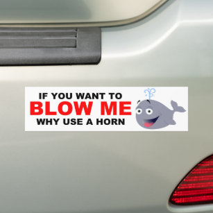 WHY USE A HORN T O BLOW ME? BUMPER STICKER