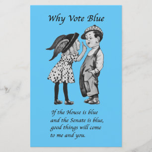 Why Vote Blue in 2022