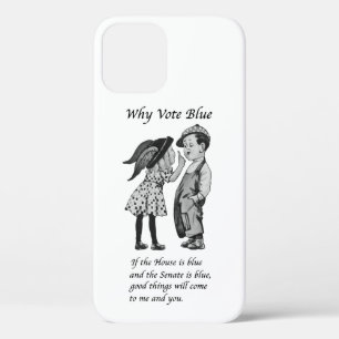 Why Vote Blue in 2022 iPhone 12 Case