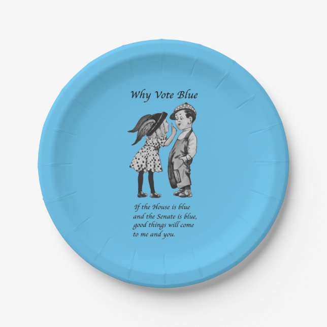 Why Vote Blue in 2022 Paper Plate (Front)