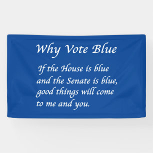 Why Vote Blue in 2024 Banner