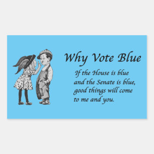 Why Vote Blue in 2024 Sticker