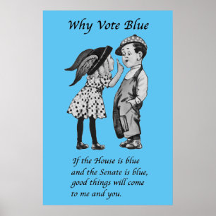 Why Vote Blue in 2026 Poster