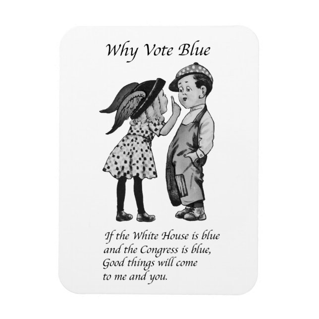 Why Vote Totally Blue in 2028 Magnet (Vertical)
